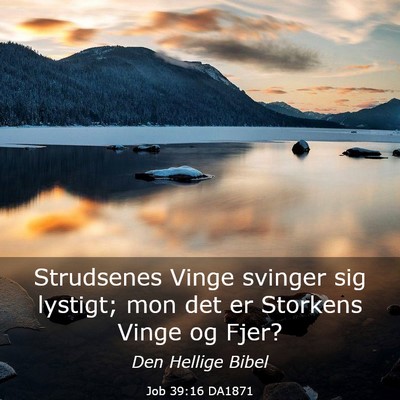 Picture 03 - Job 39:16 DA1871 - Strudsenes Vinge svinger sig lystigt; mon det er - Bible Verse Picture