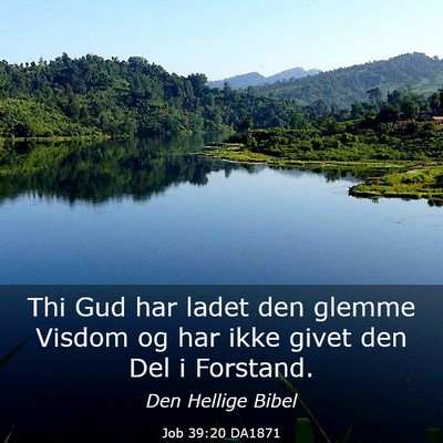 Picture 03 - Job 39:20 DA1871 - Thi Gud har ladet den glemme Visdom og har ikke - Bible Verse Picture