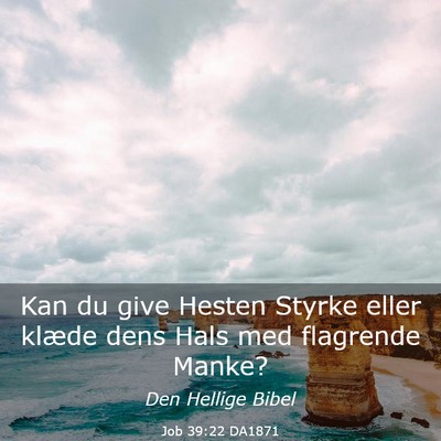 Picture 03 - Job 39:22 DA1871 - Kan du give Hesten Styrke eller klæde dens Hals - Bible Verse Picture