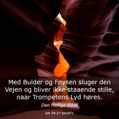 Picture 03 - Job 39:27 DA1871 - Med Bulder og Fnysen sluger den Vejen og bliver - Bible Verse Picture