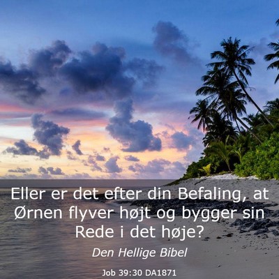 Picture 03 - Job 39:30 DA1871 - Eller er det efter din Befaling, at Ørnen flyver - Bible Verse Picture