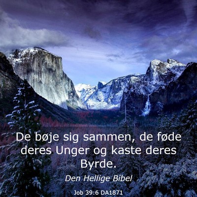 Picture 03 - Job 39:6 DA1871 - De bøje sig sammen, de føde deres Unger og - Bible Verse Picture