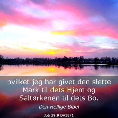 Picture 03 - Job 39:9 DA1871 - hvilket jeg har givet den slette Mark til dets - Bible Verse Picture