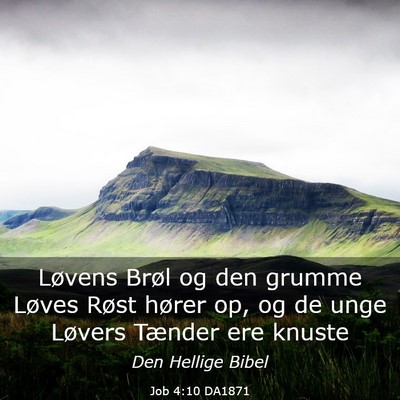 Picture 03 - Job 4:10 DA1871 - Løvens Brøl og den grumme Løves Røst hører - Bible Verse Picture