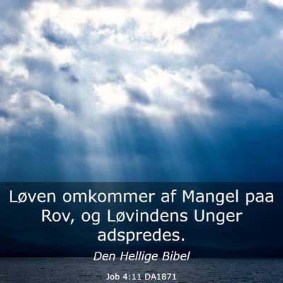 Picture 03 - Job 4:11 DA1871 - Løven omkommer af Mangel paa Rov, og Løvindens - Bible Verse Picture
