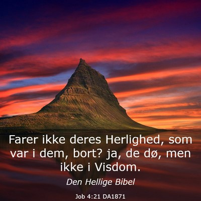 Picture 03 - Job 4:21 DA1871 - Farer ikke deres Herlighed, som var i dem, bort? - Bible Verse Picture