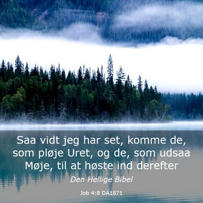 Picture 03 - Job 4:8 DA1871 - Saa vidt jeg har set, komme de, som pløje Uret, - Bible Verse Picture