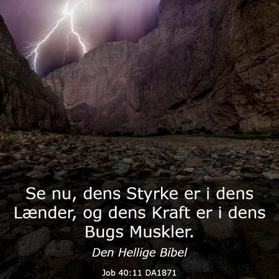 Picture 03 - Job 40:11 DA1871 - Se nu, dens Styrke er i dens Lænder, og dens - Bible Verse Picture