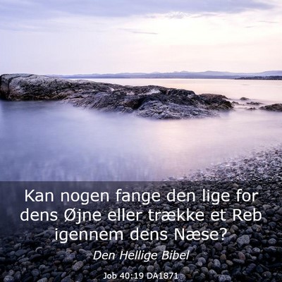 Picture 03 - Job 40:19 DA1871 - Kan nogen fange den lige for dens Øjne eller - Bible Verse Picture