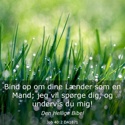 Picture 03 - Job 40:2 DA1871 - Bind op om dine Lænder som en Mand; jeg vil - Bible Verse Picture