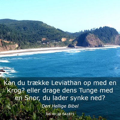 Picture 03 - Job 40:20 DA1871 - Kan du trække Leviathan op med en Krog? eller - Bible Verse Picture