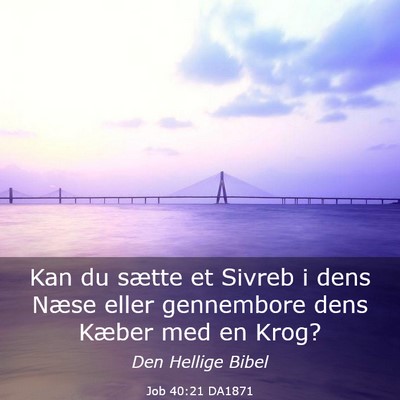 Picture 03 - Job 40:21 DA1871 - Kan du sætte et Sivreb i dens Næse eller - Bible Verse Picture