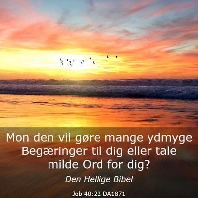 Picture 03 - Job 40:22 DA1871 - Mon den vil gøre mange ydmyge Begæringer til - Bible Verse Picture