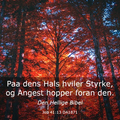Picture 03 - Job 41:13 DA1871 - Paa dens Hals hviler Styrke, og Angest hopper - Bible Verse Picture