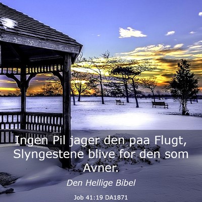 Picture 03 - Job 41:19 DA1871 - Ingen Pil jager den paa Flugt, Slyngestene blive - Bible Verse Picture