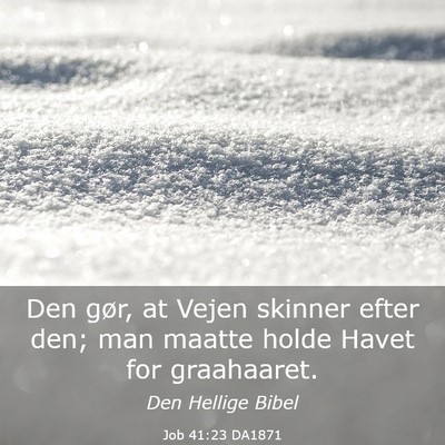 Picture 03 - Job 41:23 DA1871 - Den gør, at Vejen skinner efter den; man maatte - Bible Verse Picture