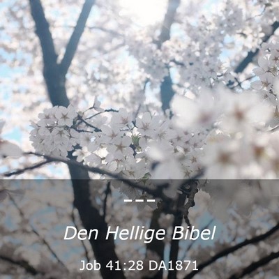 Picture 03 - Job 41:28 DA1871 -  - Bible Verse Picture