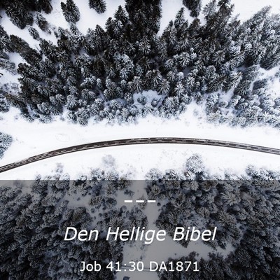 Picture 03 - Job 41:30 DA1871 -  - Bible Verse Picture