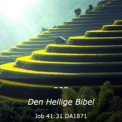 Picture 03 - Job 41:31 DA1871 -  - Bible Verse Picture