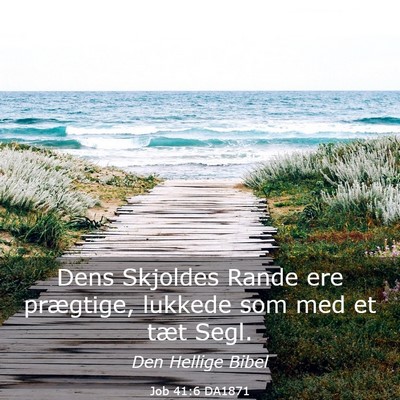 Picture 03 - Job 41:6 DA1871 - Dens Skjoldes Rande ere prægtige, lukkede som - Bible Verse Picture