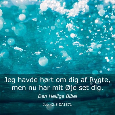 Picture 03 - Job 42:5 DA1871 - Jeg havde hørt om dig af Rygte, men nu har mit - Bible Verse Picture