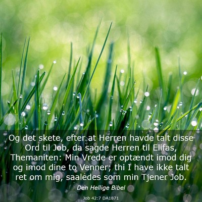 Picture 03 - Job 42:7 DA1871 - Og det skete, efter at Herren havde talt disse - Bible Verse Picture