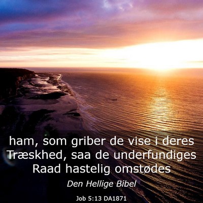 Picture 03 - Job 5:13 DA1871 - ham, som griber de vise i deres Træskhed, saa de - Bible Verse Picture
