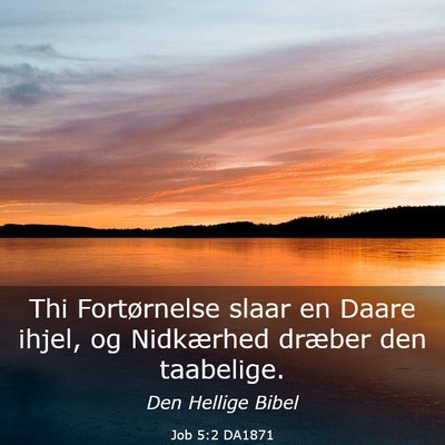 Picture 03 - Job 5:2 DA1871 - Thi Fortørnelse slaar en Daare ihjel, og - Bible Verse Picture