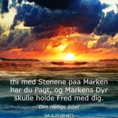 Picture 03 - Job 5:23 DA1871 - thi med Stenene paa Marken har du Pagt, og - Bible Verse Picture