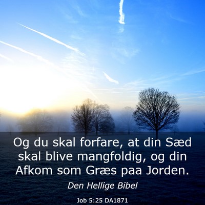 Picture 03 - Job 5:25 DA1871 - Og du skal forfare, at din Sæd skal blive - Bible Verse Picture