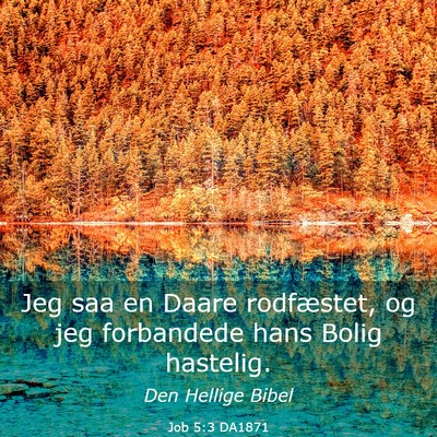 Picture 03 - Job 5:3 DA1871 - Jeg saa en Daare rodfæstet, og jeg forbandede - Bible Verse Picture