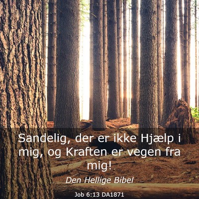 Picture 03 - Job 6:13 DA1871 - Sandelig, der er ikke Hjælp i mig, og Kraften er - Bible Verse Picture