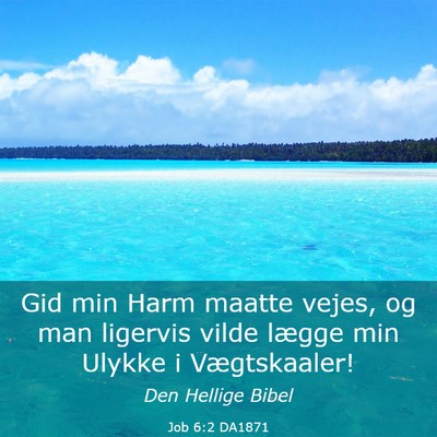 Picture 03 - Job 6:2 DA1871 - Gid min Harm maatte vejes, og man ligervis vilde - Bible Verse Picture