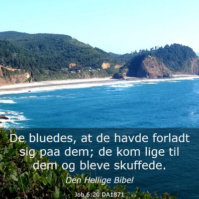 Picture 03 - Job 6:20 DA1871 - De bluedes, at de havde forladt sig paa dem; de - Bible Verse Picture