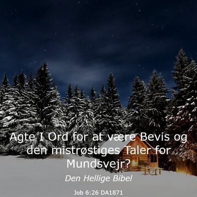 Picture 03 - Job 6:26 DA1871 - Agte I Ord for at være Bevis og den - Bible Verse Picture