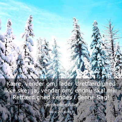 Picture 03 - Job 6:29 DA1871 - Kære, vender om, lader Uretfærdighed ikke ske; - Bible Verse Picture