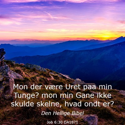 Picture 03 - Job 6:30 DA1871 - Mon der være Uret paa min Tunge? mon min Gane - Bible Verse Picture
