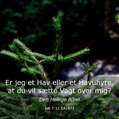 Picture 03 - Job 7:12 DA1871 - Er jeg et Hav eller et Havuhyre, at du vil sætte - Bible Verse Picture