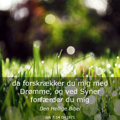Picture 03 - Job 7:14 DA1871 - da forskrækker du mig med Drømme, og ved Syner - Bible Verse Picture