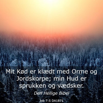 Picture 03 - Job 7:5 DA1871 - Mit Kød er klædt med Orme og Jordskorpe; min - Bible Verse Picture