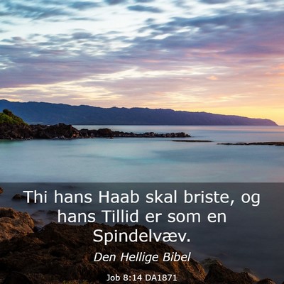 Picture 03 - Job 8:14 DA1871 - Thi hans Haab skal briste, og hans Tillid er som - Bible Verse Picture