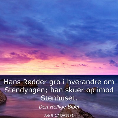 Picture 03 - Job 8:17 DA1871 - Hans Rødder gro i hverandre om Stendyngen; han - Bible Verse Picture