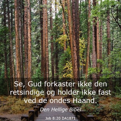 Picture 03 - Job 8:20 DA1871 - Se, Gud forkaster ikke den retsindige og holder - Bible Verse Picture