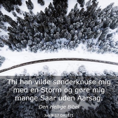 Picture 03 - Job 9:17 DA1871 - Thi han vilde sønderknuse mig med en Storm og - Bible Verse Picture