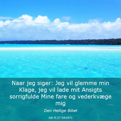 Picture 03 - Job 9:27 DA1871 - Naar jeg siger: Jeg vil glemme min Klage, jeg vil - Bible Verse Picture