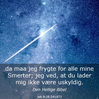 Picture 03 - Job 9:28 DA1871 - da maa jeg frygte for alle mine Smerter; jeg ved, - Bible Verse Picture