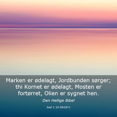 Picture 03 - Joel 1:10 DA1871 - Marken er ødelagt, Jordbunden sørger; thi - Bible Verse Picture