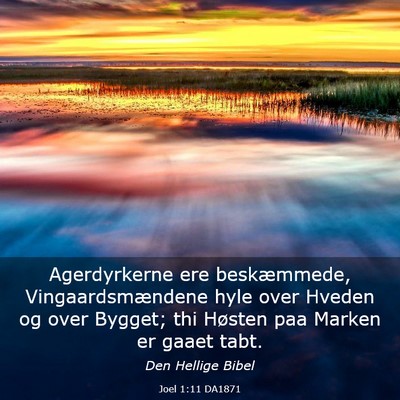 Picture 03 - Joel 1:11 DA1871 - Agerdyrkerne ere beskæmmede, Vingaardsmændene - Bible Verse Picture