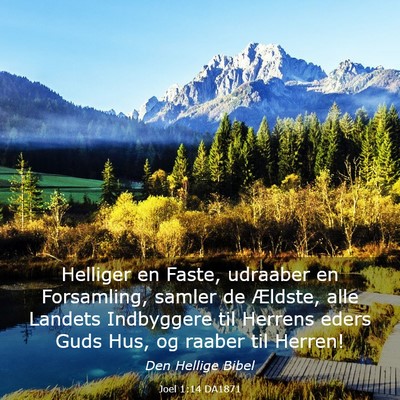 Picture 03 - Joel 1:14 DA1871 - Helliger en Faste, udraaber en Forsamling, samler - Bible Verse Picture