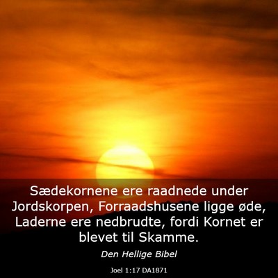 Picture 03 - Joel 1:17 DA1871 - Sædekornene ere raadnede under Jordskorpen, - Bible Verse Picture